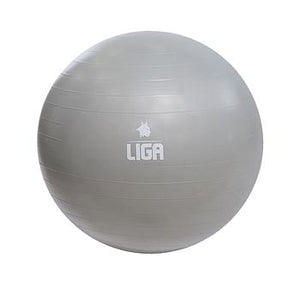 Μπάλα γυμναστικής 55cm (Gym Ball) (ροζ) LIGASPORT*