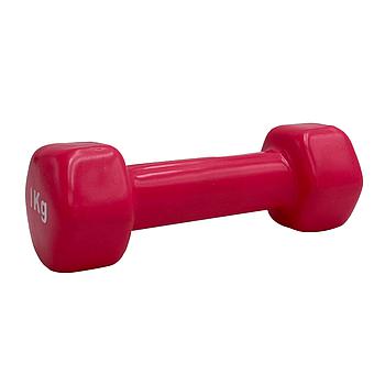 Vinyl Dumbbell