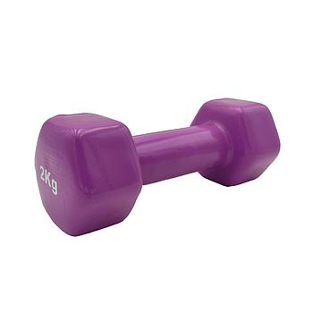 Vinyl Dumbbell